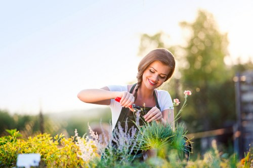 A woman with a cheerful expression is tending to a garden bed in an outdoor space, planting or watering a variety of plants including small shrubs, flowering plants, and ornamental grasses. The garden features a grassy lawn in the foreground with a lush, green texture, bordered by a neat flower bed containing vibrant yellow, purple, and pink blooms. In the background, tall trees with dense foliage and a clear, bright sky are visible, indicating an outdoor setting with natural sunlight highlighting the garden's diverse plant life. The scene suggests a well-maintained, landscaped yard typical of residential gardens in the UK, with attention to plant arrangement and outdoor care, supported by professional gardening services such as hedge trimming and lawn maintenance offered by local providers like Hedge Trimming Brimsdown. The overall environment appears healthy, vibrant, and inviting, emphasizing the natural tones of green and floral colours, with a soft focus on the background to highlight the gardening activity in the foreground.