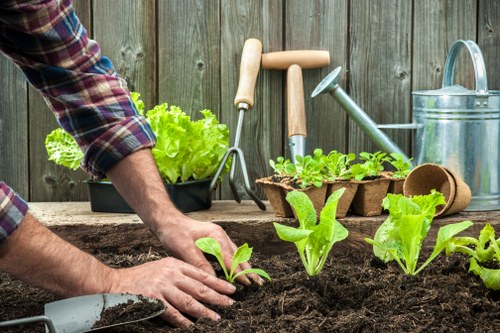 Composted mulch being used in a Brimsdown community garden