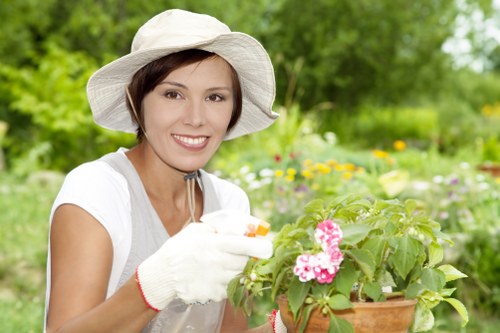 Seasonal garden care activities in Brimsdown