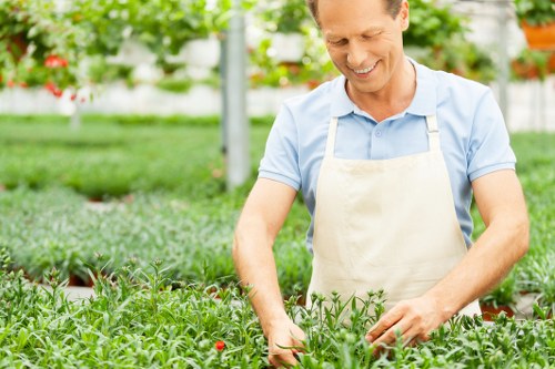 Various hedge trimming techniques
