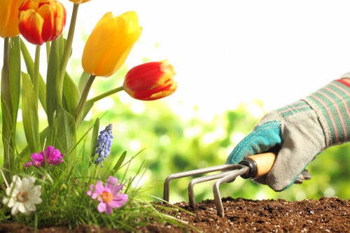 Sustainable garden maintenance practices in Brimsdown