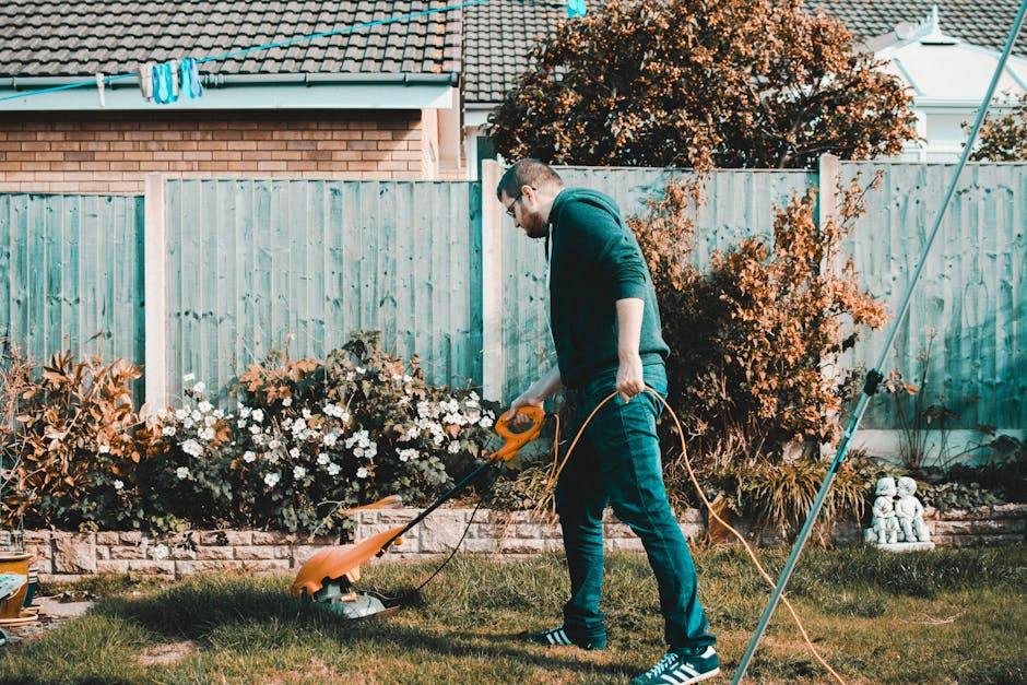 A gardener wearing a dark jacket and a wide-brimmed hat is trimming a dense, green hedge with long-handled hedge shears. The hedge has a lush appearance with small, glossy leaves and pale pink flowers